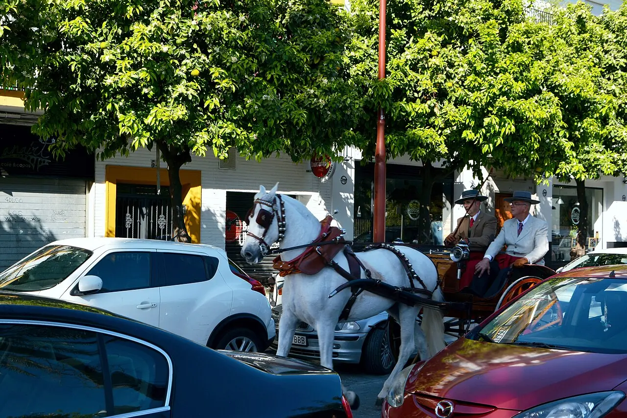 Feria de Abril - greeting the spring in Sewilli, 2 weeks are being begun after the Easter. During the week's celebration, horse parades are